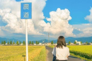 外国人「こういう日本の田舎の風景って本当に美しいよな」