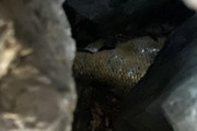 【フエフキダイ狙い】釣りだ釣りだ釣りだ（※画像あり）