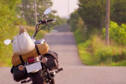 バイクで旅するやつｗｗｗｗｗｗｗｗｗｗｗｗｗｗ