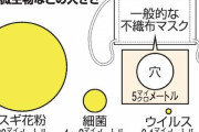 【悲報】マスクの真の性能、判明してしまうWIWIWIWIWIWIWIIWIWIWIWIWIWIW