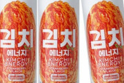 キムチ炭酸飲料「キムチエナジー」が日本上陸へ　「一缶売れる度に独島協会を後援」  [11/1]