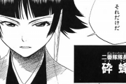 【BLEACH】「砕蜂」が卍解奪われた意味がわからんｗｗｗｗｗ