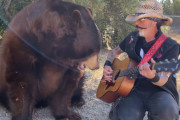 大きなクマにカントリーソングを歌う男性。素敵な歌声にクマもうっとりかと思いきや？