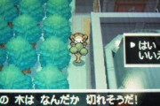 【画像】ポケモンの「いあいぎり」が使えそうな場所、ガチでここ以外ありえないｗｗｗｗ