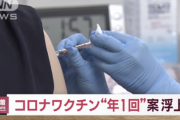 【悲報】政府内でコロナワクチンの原則年1回案が浮上