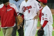 カープ堂林、守備で左足首を捻るも治療後にプレー復帰　走塁中痛みをこらえる場面も