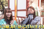 ｢梅が買ってたものは買ってみる｣ そりゃたまちゃん可愛がるわけだわｗ【乃木坂46】