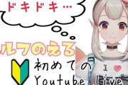 Vtuber 【エルフのえる】「もし今のえるが壊れてるように見えてるとしてもこれが本当の私」「むしろあの時の私が壊れていたと言っても過言ではない」
