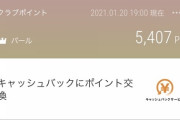 クレジットカード「会計が楽です。未来の自分が払ってくれるので実質タダです」←使わない奴の正体