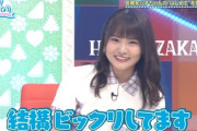 【日向坂46】まなふぃへ「ひなあい」からサプライズwwww