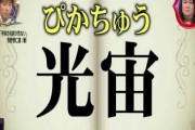【朗報】光宙（ぴかちゅう）さん、国から認められる