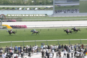 【京都ハイジャンプ】シホノスペランツァ＆高田騎手がｷﾀ━━━━(ﾟ∀ﾟ)━━━━!!