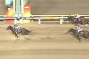 【JDD】大井のミックファイアが完勝！22年ぶり無敗、南関クラシック3冠達成