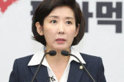 韓国野党院内代表「文大統領、新鎖国主義で国を旧韓末に戻している…安倍首相に会わなければならない」＝韓国の反応