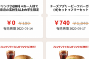 バーキン「クソでかいです。クーポンの凄いです。"肉"って感じです。」←これが流行らん理由