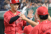 カープ中村奨成（野球一筋2年目）.274 8本 30打点 出塁率.313 OPS.740