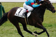 【悲報】フローラSで6着に敗れたラスール骨折　全治6カ月