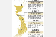 クマを駆除した自治体に抗議や苦情の電話相次ぐ｢クマ殺し｣｢無能集団が｣ 担当者｢非常につらい｣