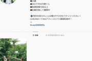 【悲報】友達が情報商材のネズミ講にハマってた