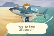 【雑談】『あつまれ どうぶつの森』でサメがうろちょろしてる島が安全で遊泳OKっておかしくね？