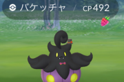 【ポケモンGO】バケッチャの色違いが神々しい…！まるでナスビかサツマイモ