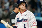 山田哲人、ガチ天才だった