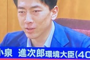 【岸田内閣】小泉進次郎氏は重用されない見通し