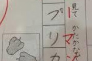 【悲報】ＪＳ２年生さん、答えが完璧すぎて×されてしまうｗｗｗｗｗｗｗｗｗｗｗ
