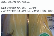 【警告】バナナが入ってた箱を保管してる人、ヤバいらしい