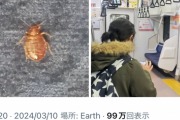 【悲報】トコジラミ、遂に関東の通勤電車に上陸してしまうｗｗｗｗｗ