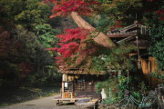 「京都のこの店は凄く美しいな」親日外国人が風景を愛でるスレ