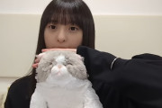 遠藤さくらちゃんのぬいぐるみの扱い方が…【乃木坂46】