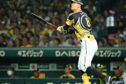 阪神　佐藤輝明が復調モード　１１号ソロに岡田監督「調子は上がってるて言うとるやん」