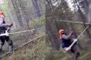 【動画】エンジン芝刈り機の達人、倒れてきた木を空中で切断して難を逃れる。