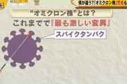 オミクロン、日本上陸。