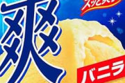 【衝撃】爽、ラクトアイスのくせにめちゃめちゃ美味い