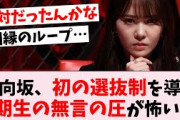 【悲報】日向坂46初の選抜制導入、ギスギスが凄そう…に対するオタの反応集