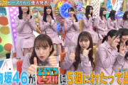 重大発表！日向坂46×『どうぶつピース！！』大型プロジェクトついに始動！5週に渡ってメンバーが出演決定！