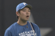 【vs.西武】日ハム野村、リーグワーストとなる9個目のエラー