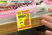 日本の米価、政府備蓄米放出も効果なし？ 海外からJAへの厳しい視線「農家にお金が渡ってない」
