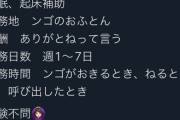 【にじさんじ】よくよく考えたら無給で朝昼夜拘束だから壮絶ブラックだよな