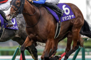 【競馬予想】第20回オーシャンステークス(GⅢ) /2025