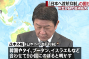 コロナウイルスに対する対応みてると日本がもはや先進国ではないレベルだと気付かされるよな