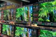 日本人が中国メーカーのテレビ買う　シェアは50%以上　ソニーパナソニック売れない😢