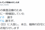 【朗報】ホークスキューバ勢来日