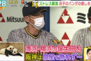 関西メディアさん、とんでもない阪神番組を放送してしまう
