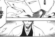 『BLEACH』で一番テンション上がった場面、満場一致であそこｗｗｗｗｗｗｗ