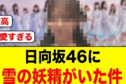 【マジで可愛すぎる】日向坂46に雪の妖精がいた件について【日向坂46/日向坂で会いましょう/日向坂ちゃんねる】