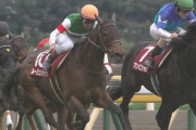 【競馬】GⅠ昇格は大阪杯、毎日王冠、札幌記念、中山記念のどれが良かった？