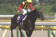【競馬】ロゴタイプは果たして社台SSで種牡馬入りすることができるのか？